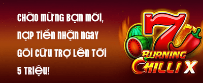 Ưu Đãi Giới Thiệu promotion banner